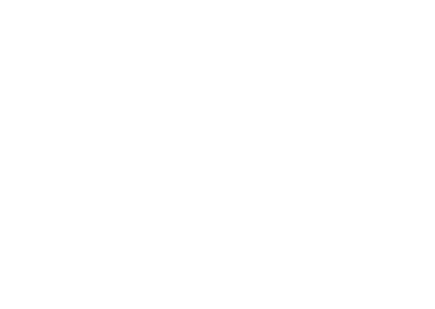 revit